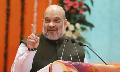 பல நோய்களுக்கு செயற்கை உரமே காரணம்: உள்துறை அமைச்சர் அமித்ஷா