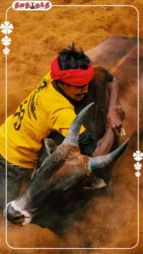 பொங்கல் பண்டிகை..வீர விளையாட்டான ஜல்லிக்கட்டு நடைபெறும் இடங்கள்...!