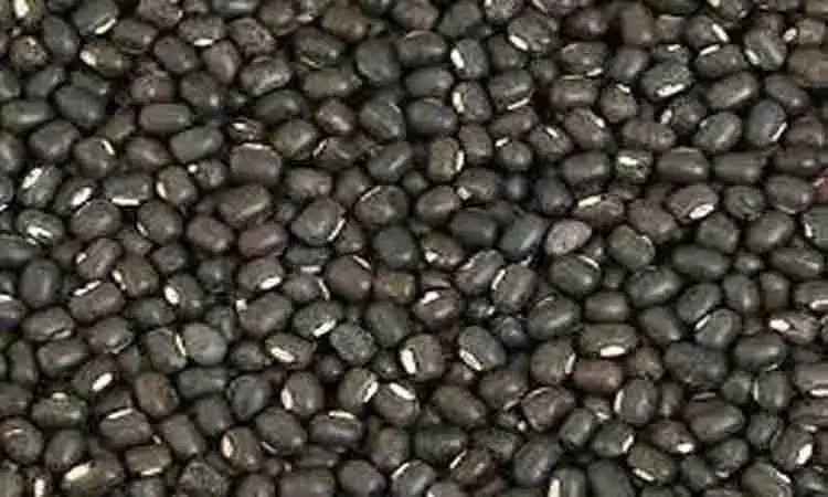 பருப்பு வகைகள் விலை உயர்வு