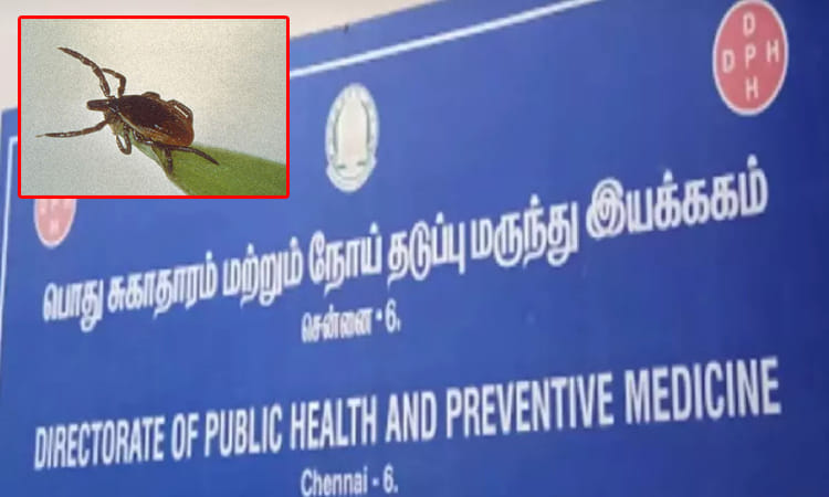 தமிழகத்தில் 7 மாவட்டங்களில் 'ஸ்க்ரப் டைபஸ்' பாக்டீரியா தொற்று ...