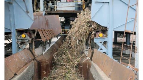 Crushing of canes commences at Kurugulam Aringar Anna Sugar Mill in Thanjavur on Thursday