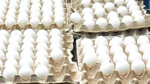 Representative Image of Eggs