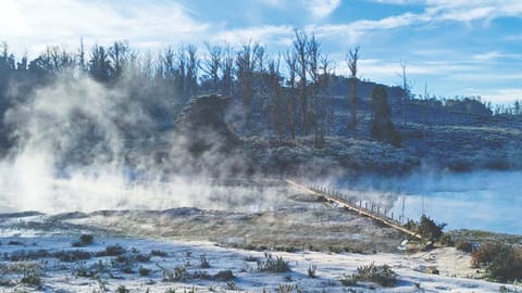 Night temperatures have hovered around 0 degrees Celsius for over 10 days