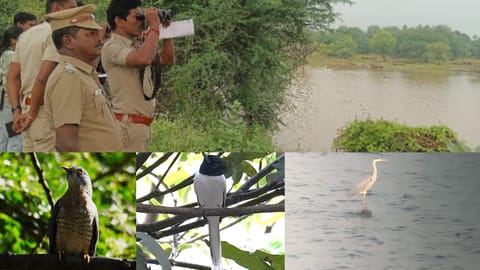Forest officials conduct bird census in Virudhunagar district. Some of the rare species spotted 