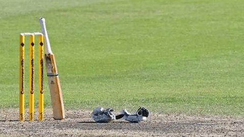 Representative image of cricket
