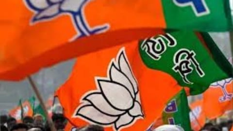 BJP flag 