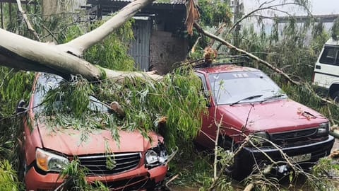 A huge tree fell on parked vehicles in Coonoor