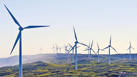 Tamil Nadu eases wind re-powering policy rules