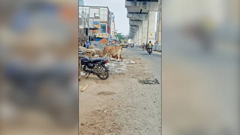 Encroachments along the
arterial stretch
