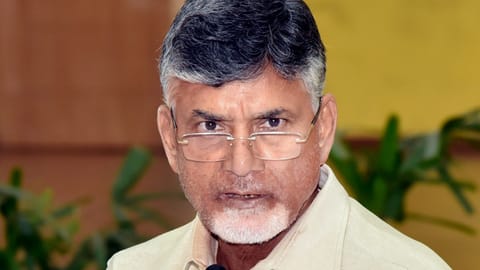 Andhra Pradesh Chief Minister N Chandrababu Naidu