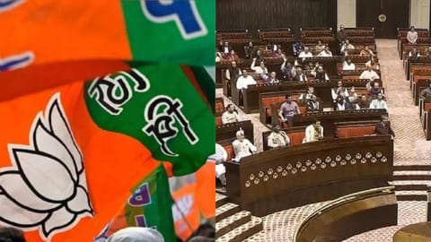 Representative image for BJP and Parliament 