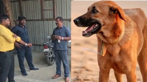 Guards beat puppy to death on private college campus near Sriperumbudur, assault students who questioned them