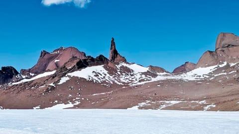 Antarctic microbes thrive on air in sub-zero dark