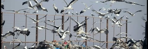 Plastic waste