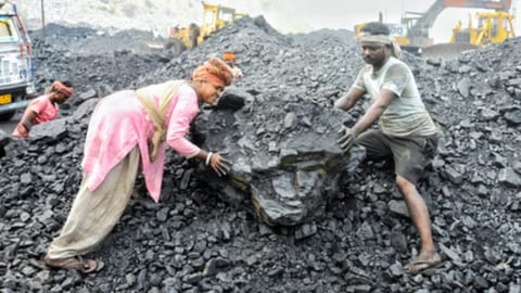 Coal