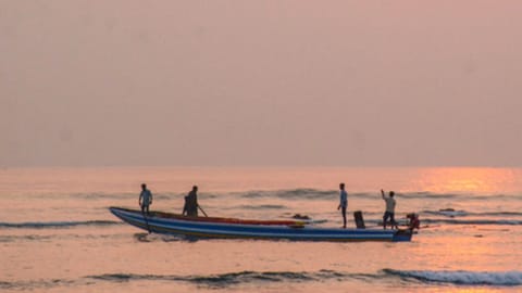 Fishing representative image