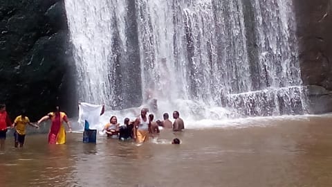 Thalaiyuthu Falls 