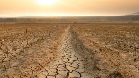 Climate impact: Droughts could accelerate spread of antibiotic resistance genes