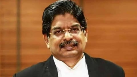 DMK MP P Wilson