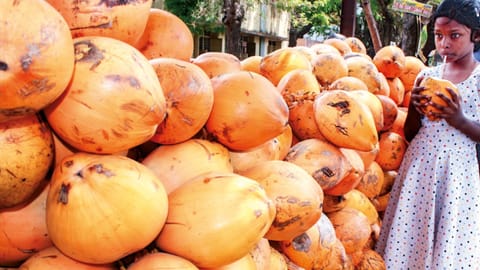 Tender coconuts