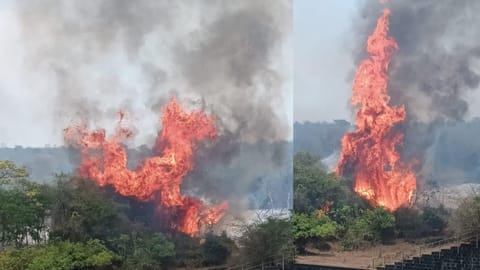 A forest raging at the Maravakandy power house in Gudalur on Monday 