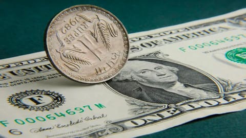 US dollar and Indian rupee