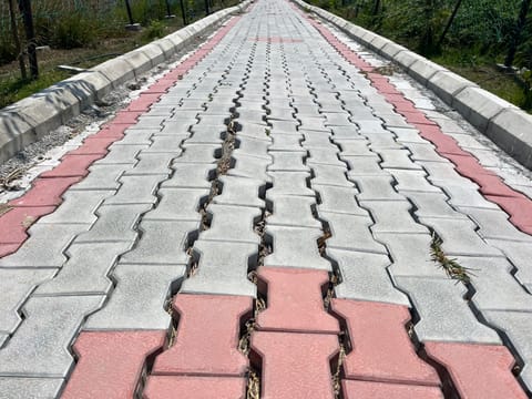 OMR lake pavement