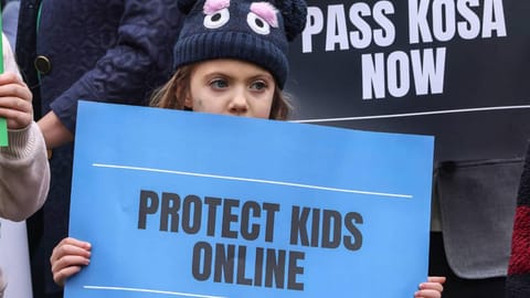 Fragmented response: Preventing online child abuse should be easier