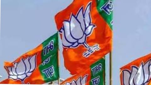 BJP FLAG