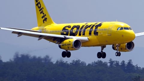 A view of the Spirit Airlines