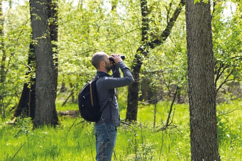 Serbian bird-watchers crowdfund to save vital woodland
