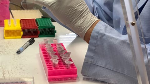 Research scientist Robert Nofchissey prepares samples of inactivated material as part of hantavirus research at the Center for Global Health at the University of New Mexico Health Sciences Center in Albuquerque
