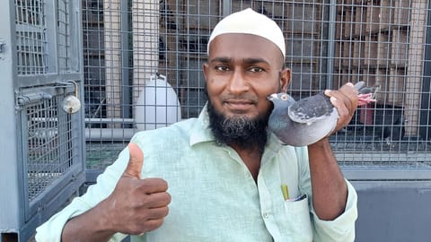 Sayed Ahmed Ibrahim with his triumphant pigeon