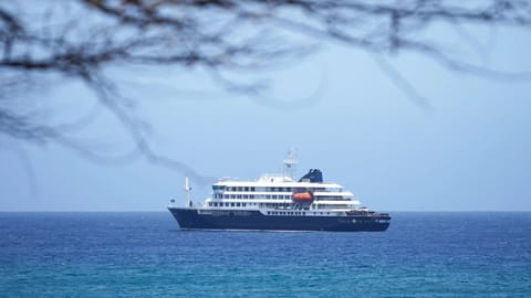 Cruise ship with hantavirus