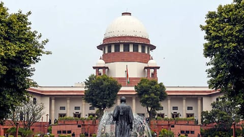 SC asks student arrested for Noida violence to approach HC