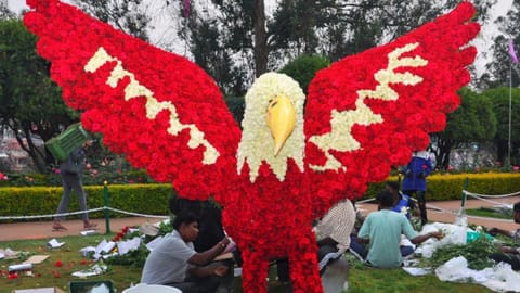 Ooty shines with colours as Rose Show begins on May 14
