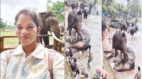 Dubare elephant camp tragedy