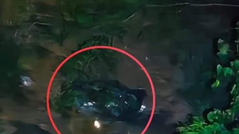 SUV falls into gorge in Maharashtra's Raigad