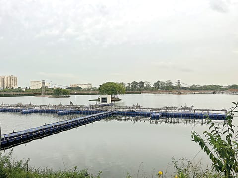 The restoration of the 39-acre lake was first initiated in 2018
