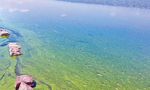 Vaigai dam water 