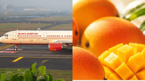 Air India (L) and Mango (R)