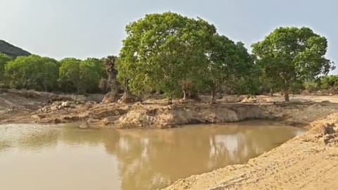 A large pit with shallow waters against the backdrop of the forest land located in Uthiramerur town panchayat