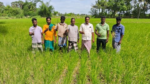 Tamil Nadu: Farmers want Delta region declared drought-hit
