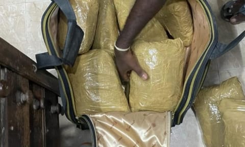 DRI seizes  Rs. 5 crore drugs bound for Malaysia; passenger arrested
