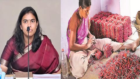 Minister S Keerthana about crackers