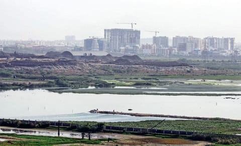Pallikaranai Ramsar wetland 