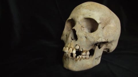 Pandemic origins: Ancient Siberian teeth push back plague timeline