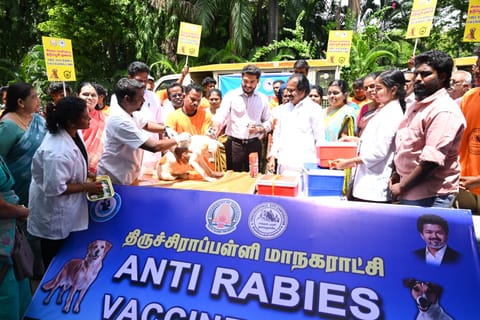 Tiruchy civic body targets more than 11,000 street dogs to undergo sterilization

