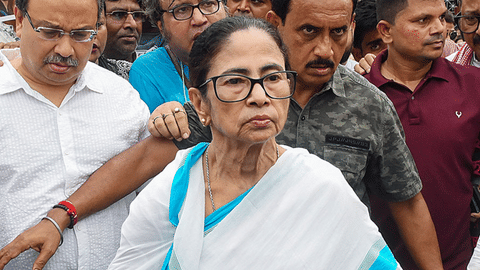Mamata Banerjee as party chairperson