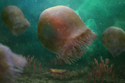 File Photo